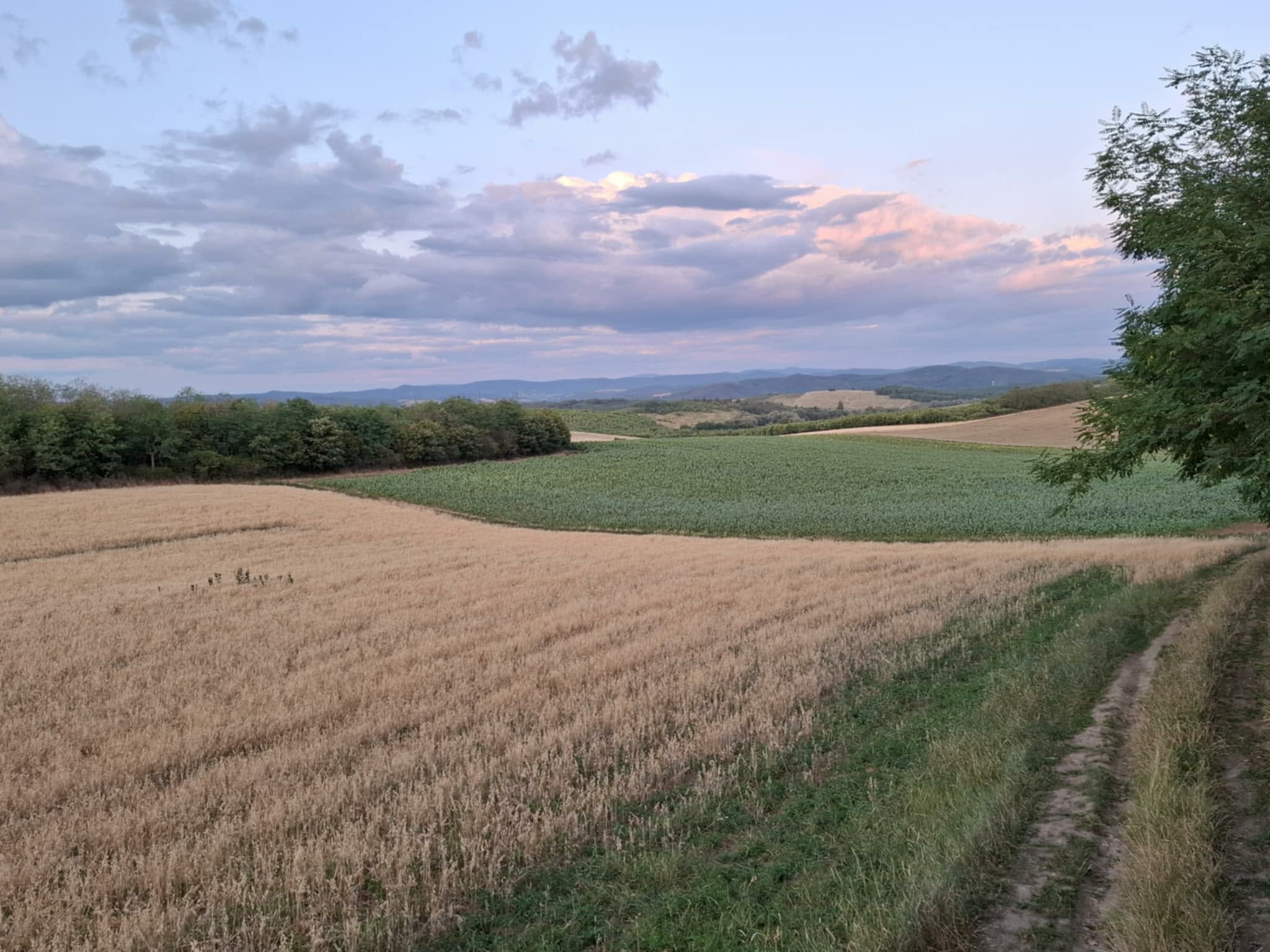 B14 Hunting Mobil Vadászlesek a kényelmes vadászathoz